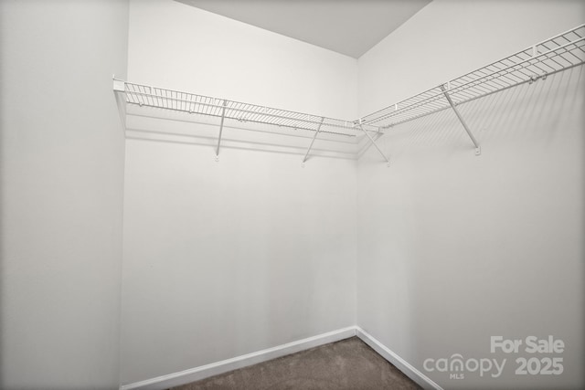 spacious closet with dark colored carpet