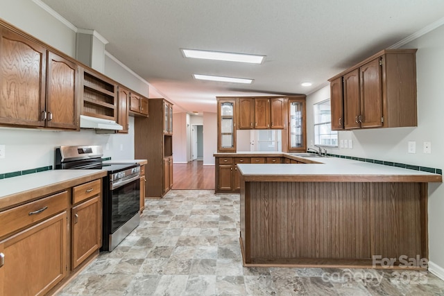 kitchen with sink, stainless steel electric range, ornamental molding, and kitchen peninsula