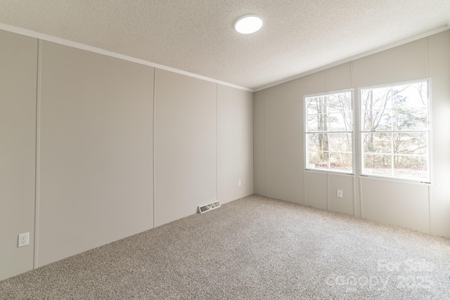 carpeted spare room featuring a textured ceiling, ornamental molding, and lofted ceiling