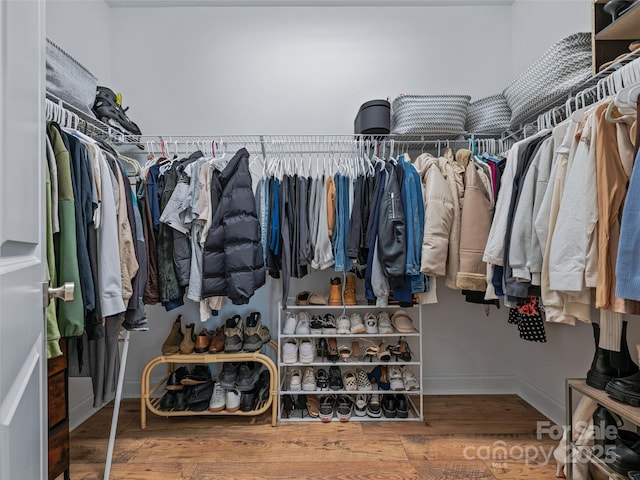 spacious closet with wood-type flooring