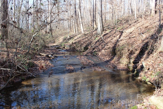 view of local wilderness