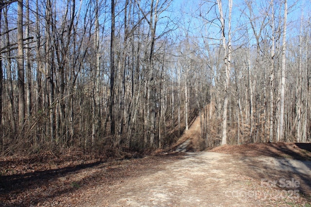 view of local wilderness