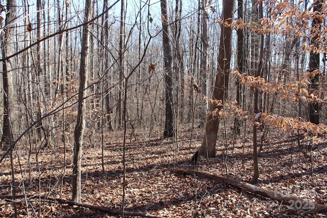 view of local wilderness