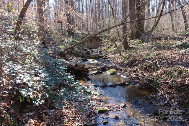 view of local wilderness