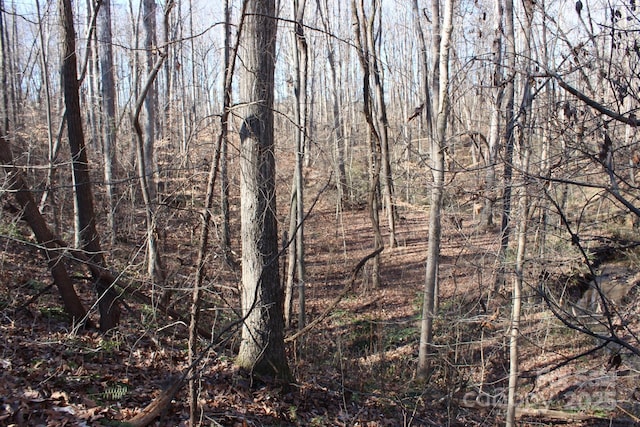 view of local wilderness