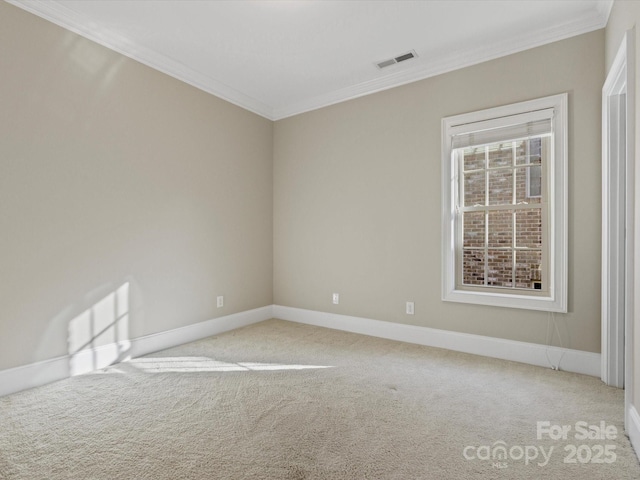 spare room featuring crown molding and carpet floors