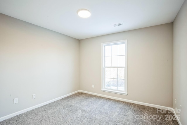 carpeted empty room featuring a wealth of natural light