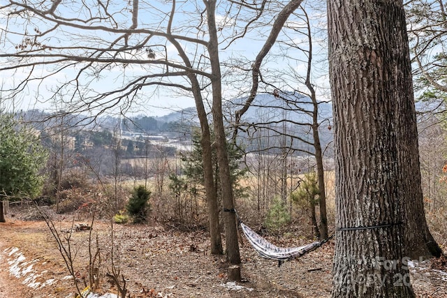 view of landscape with a mountain view