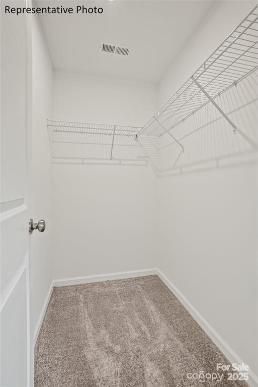 spacious closet featuring carpet