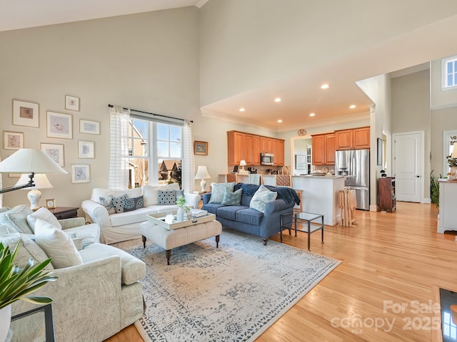 living room featuring a towering ceiling and light hardwood / wood-style flooring