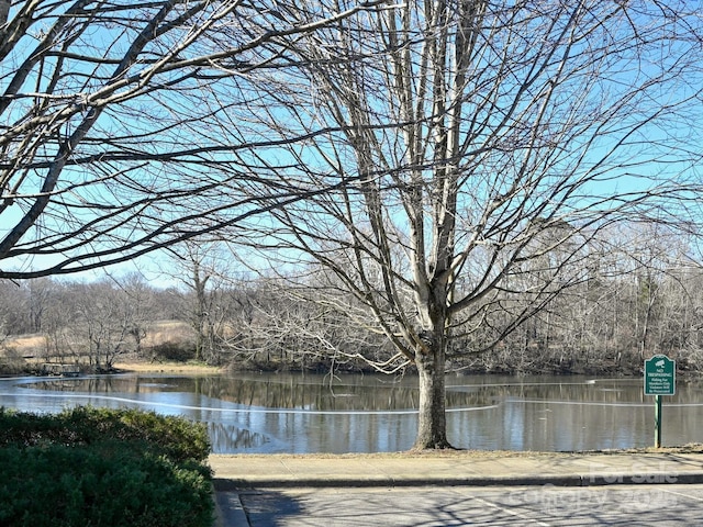 view of water feature