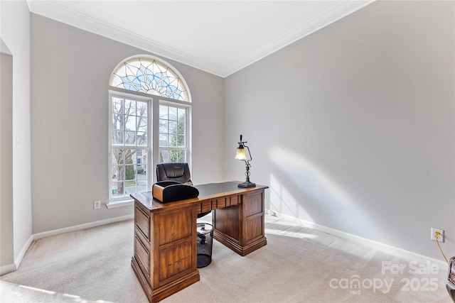 carpeted office with ornamental molding