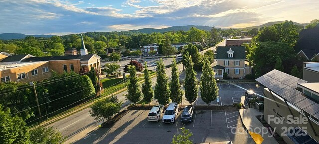 203 6th Ave W Unit 1B, Hendersonville, NC 28739 - aerial view of mountains