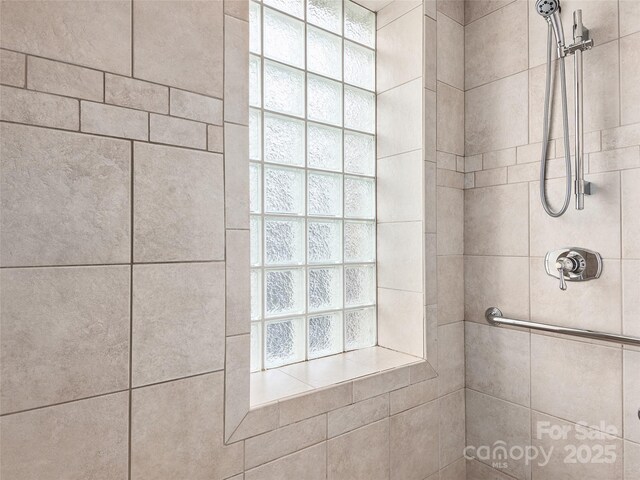 203 6th Ave W Unit 1B, Hendersonville, NC 28739 - bathroom featuring walk in shower