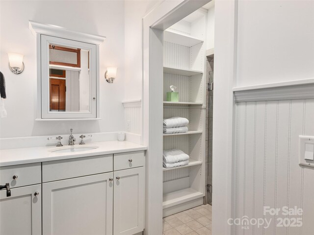 203 6th Ave W Unit 1B, Hendersonville, NC 28739 - bathroom featuring vanity