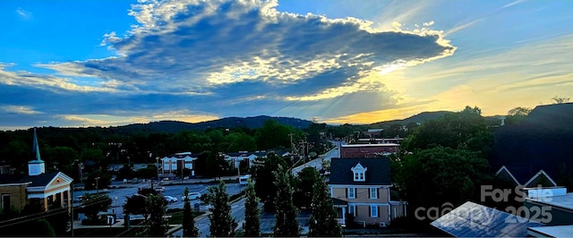 203 6th Ave W Unit 1B, Hendersonville, NC 28739 - mountain view