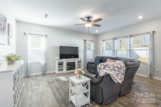 living room with ceiling fan and wood-type flooring