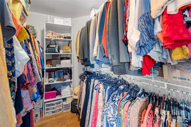 walk in closet with hardwood / wood-style floors