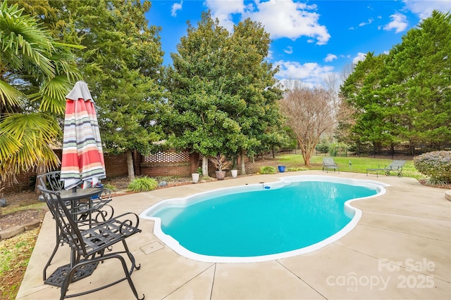 view of swimming pool featuring a patio