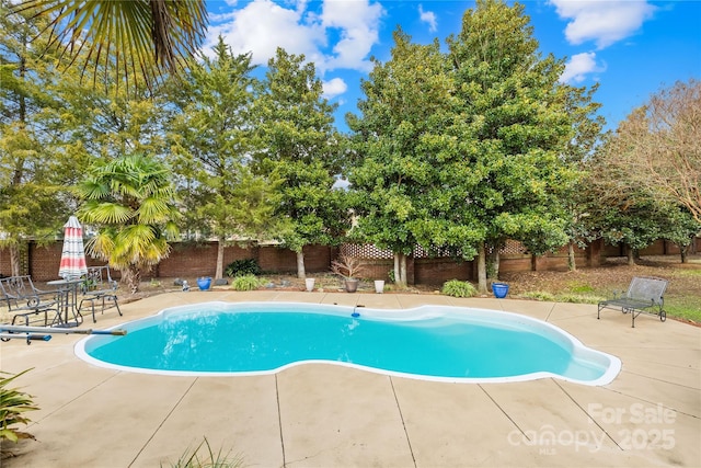 view of pool featuring a patio