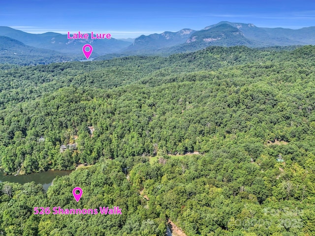 526 Shannons Walk, Lake Lure, NC 28746 - photo 1