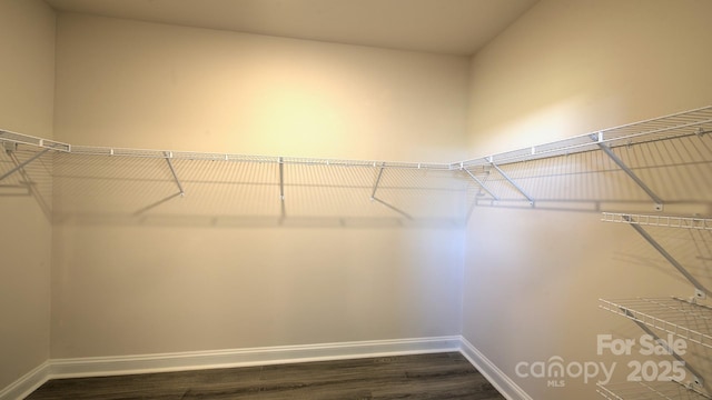 spacious closet with dark wood-type flooring