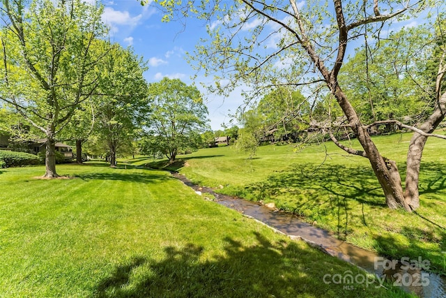 10 Clubside Dr, Asheville, NC 28804 - view of yard