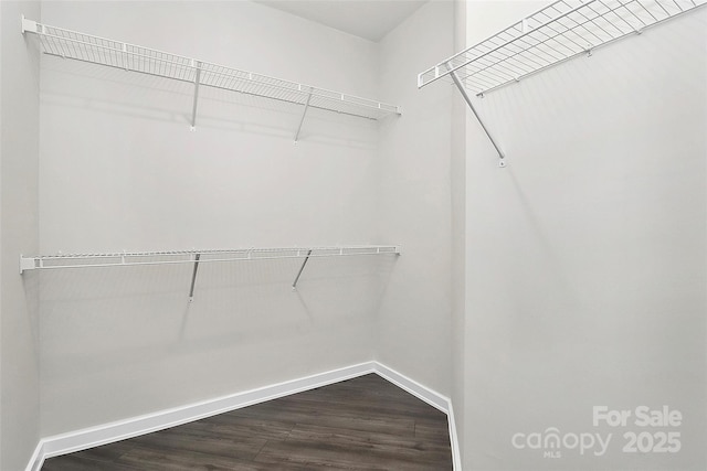 spacious closet with hardwood / wood-style flooring