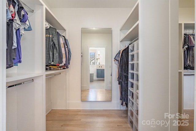 walk in closet featuring light wood-type flooring