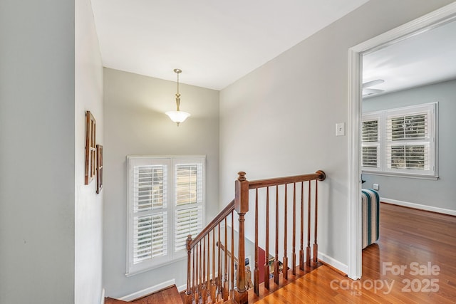 stairway with hardwood / wood-style flooring