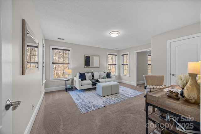 carpeted living room with a textured ceiling