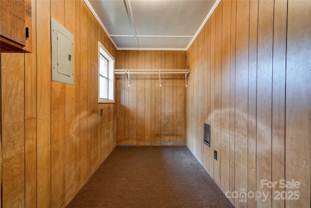 spacious closet featuring electric panel and carpet flooring