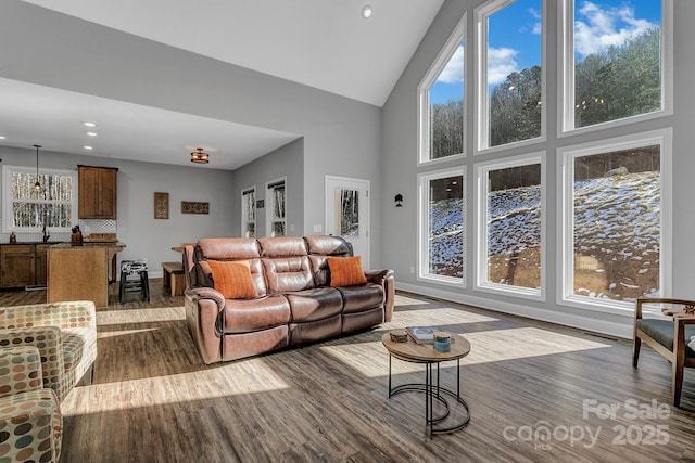 living room with hardwood / wood-style floors and high vaulted ceiling