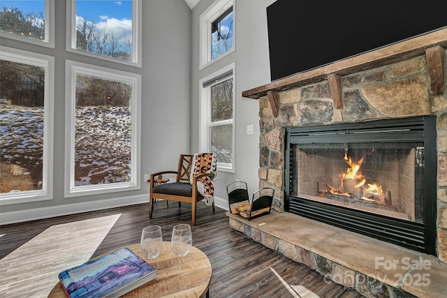 living area featuring dark wood-type flooring and a fireplace