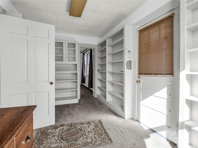 266 Hudlow Rd, Forest City, NC 28043 - spacious closet with carpet flooring