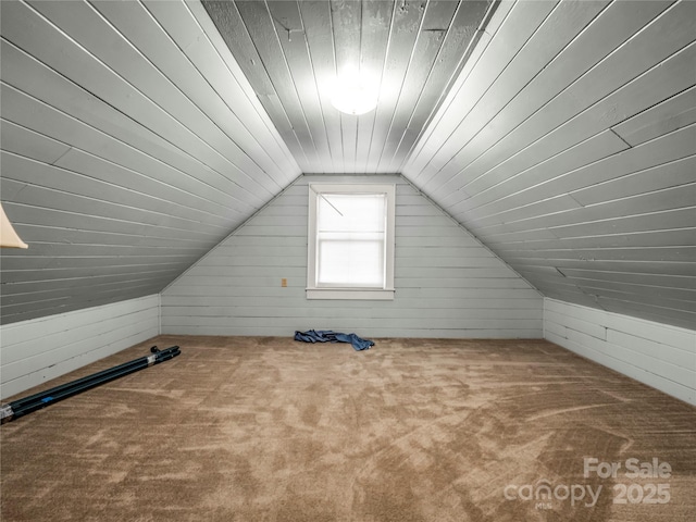 266 Hudlow Rd, Forest City, NC 28043 - bonus room with lofted ceiling, carpet flooring, and wood walls