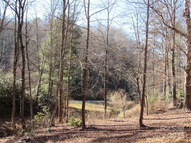 view of landscape