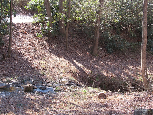 view of landscape