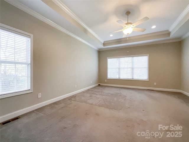 carpeted empty room with a tray ceiling and a healthy amount of sunlight