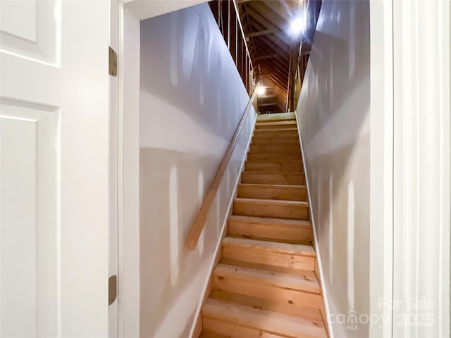 staircase with wood-type flooring