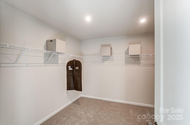 spacious closet featuring light colored carpet