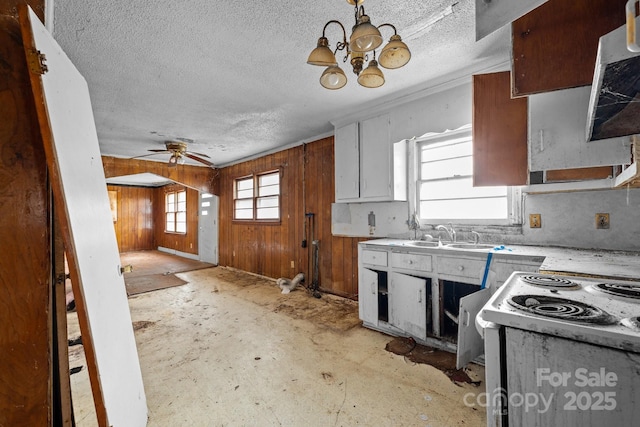 kitchen featuring sink, a healthy amount of sunlight, white cabinetry, and wooden walls