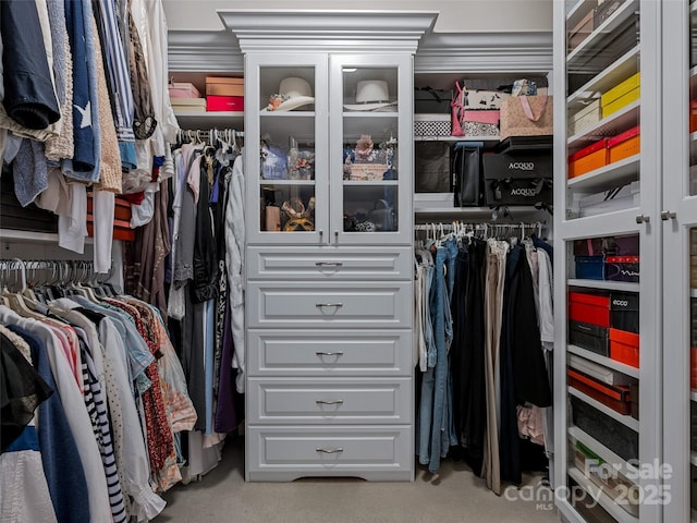 spacious closet featuring light carpet