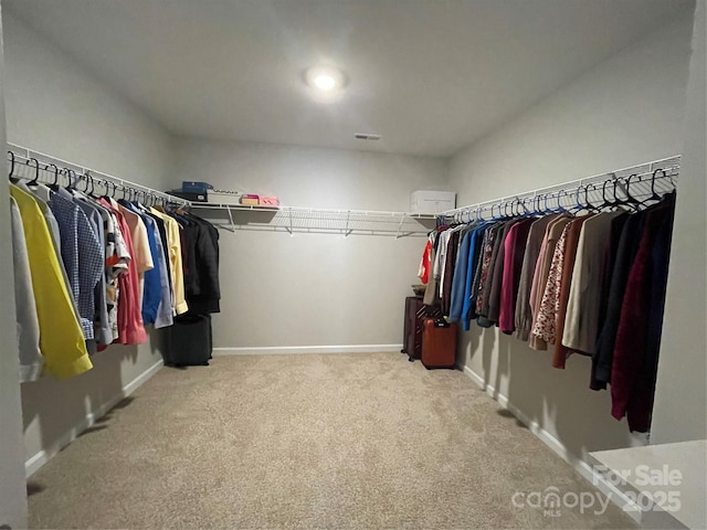 walk in closet with light carpet