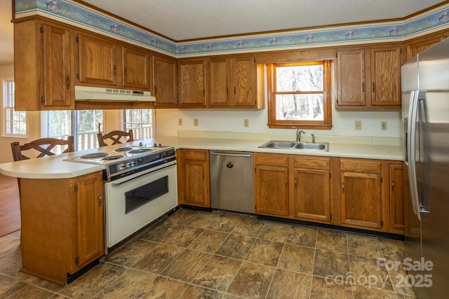 kitchen featuring a sink, under cabinet range hood, appliances with stainless steel finishes, a peninsula, and brown cabinetry