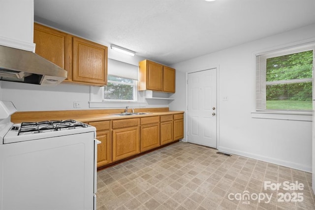 kitchen with gas range gas stove and sink