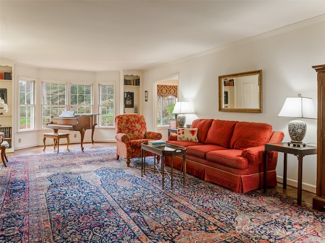 living room featuring crown molding