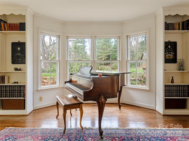 misc room featuring ornamental molding, light hardwood / wood-style floors, and a healthy amount of sunlight