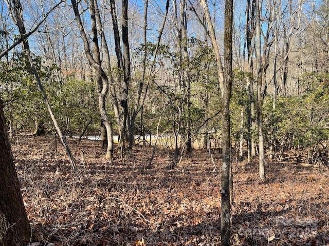 U6/L45 Ottaray Ct, Brevard NC, 28712 land for sale