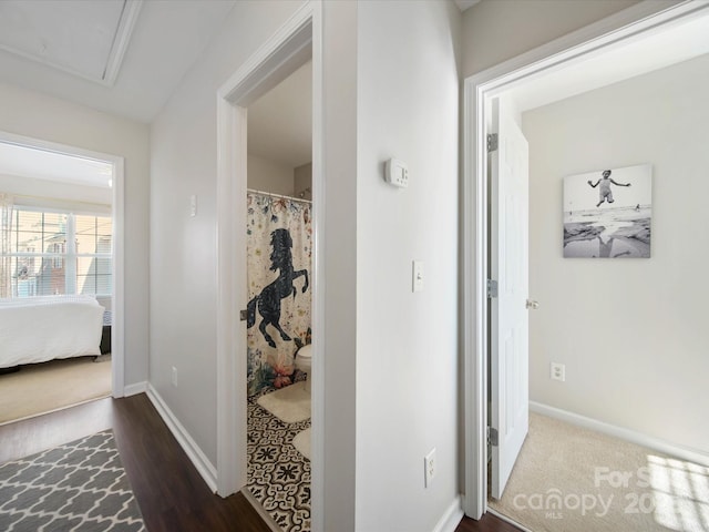 corridor featuring dark hardwood / wood-style floors